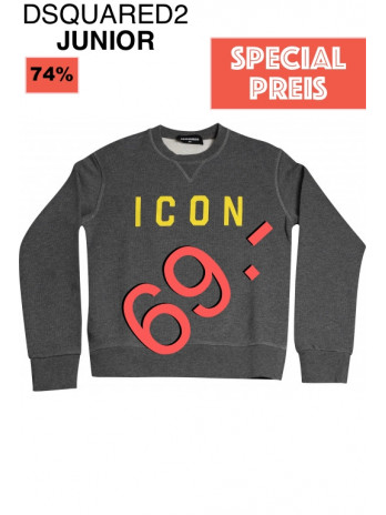 Icon Kinder Sweater - Grau