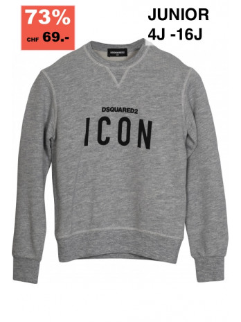 Icon Kinder Sweater - Grau